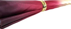 Bellissimo ombrello doppio tessuto - Design esclusivo con aironi