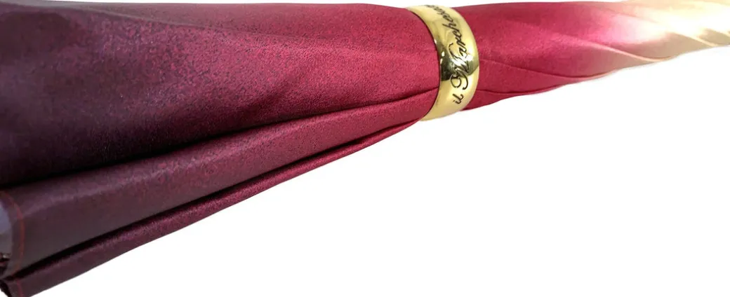 Bellissimo ombrello doppio tessuto - Design esclusivo con aironi