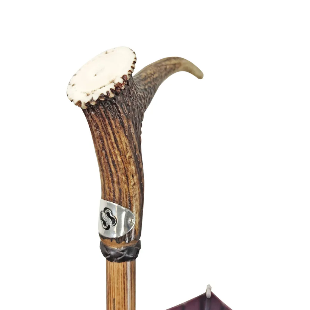 Corno di cervo su canna di legno di faggio svasato