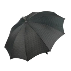 Dragon’s Fury: Black Umbrella with Fierce Dragon Handle