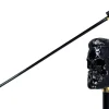 Elegant Cane with Sculpted Black Skull Handle and Gold Accents