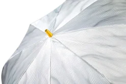 Elegant Umbrella with Gold-Plated Lion Handle – Limited Edition