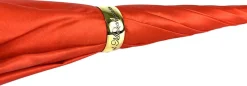 Elegante ombrello con stampa animalier interna, doppio tessuto