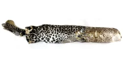 Esclusivo ombrello con Libellula placcata in oro 24K