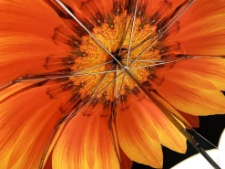 Esclusivo ombrello disegno Girasole