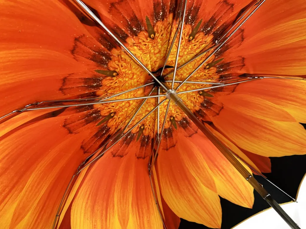 Esclusivo ombrello disegno Girasole