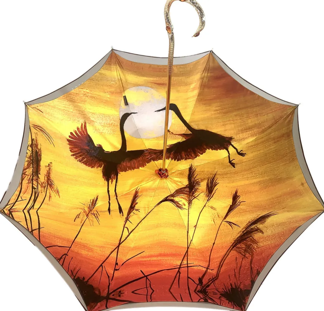 il Marchesato aironi in volo