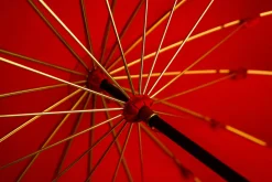 LIMITED COLLECTION - Exclusive Red Umbrella with Jeweled Panther Handl