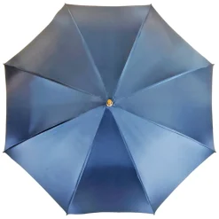 Ombrello azzurro fine ed elegante
