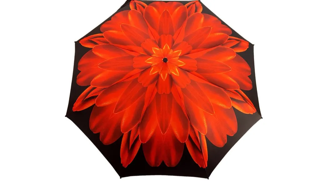 Ombrello da donna Fiore petali rossi