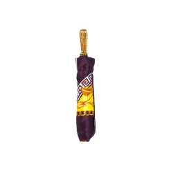Plum Majesty: Exclusive Umbrella in Plum Color with Ornamental Design
