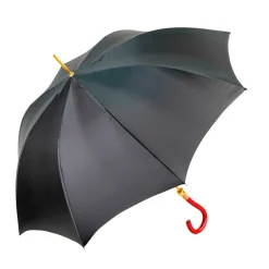 Stylish Black and Red Umbrella