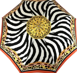 Zebrato con catene